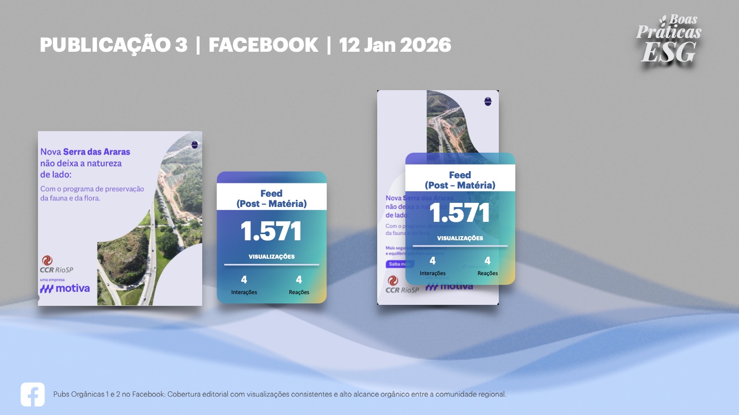Slide 13 - Facebook Publicação 3